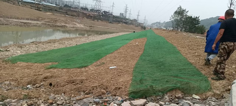 工程边坡及河道防护场景中选择三维植被网需重点考察的技术指标与工况适配性