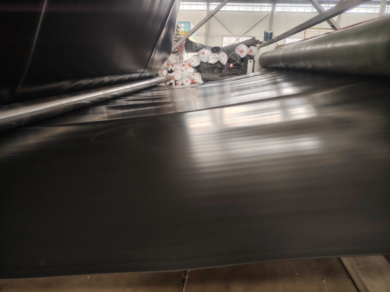 一线观察：长期体验下土工膜工厂的真实表现 