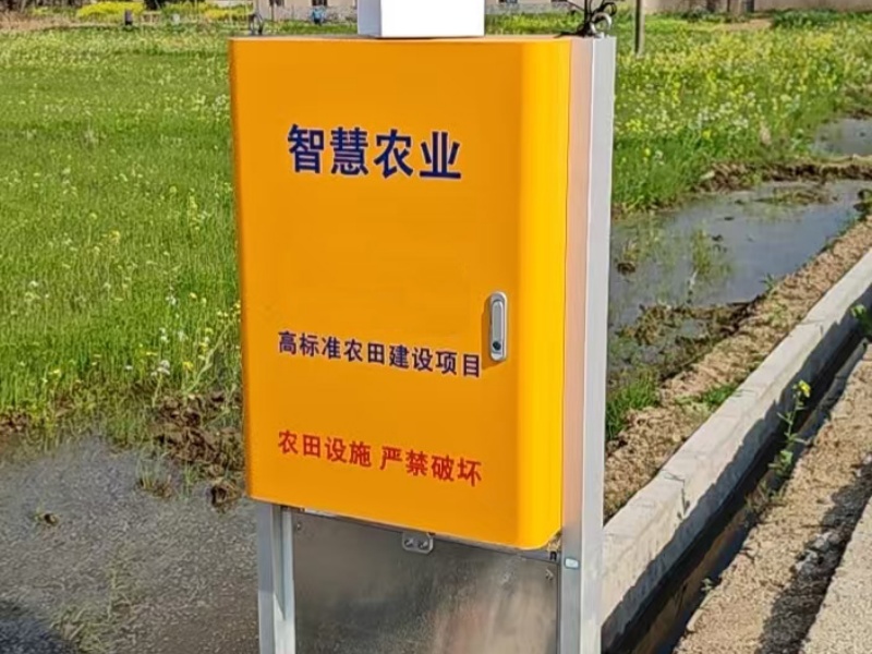 文章插图