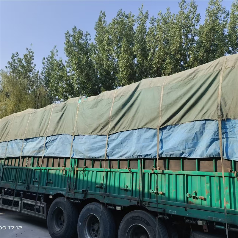 一线观察：热门生态袋生产商在长期市场中的真实表现 